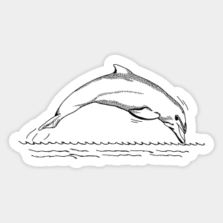 Cute Dolphin sketch Sticker